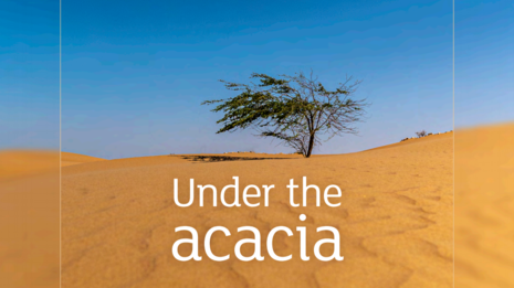 Under the acacia community report