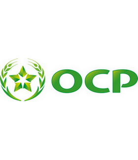 OCP Group's policy, Standards & Reports logo ocp